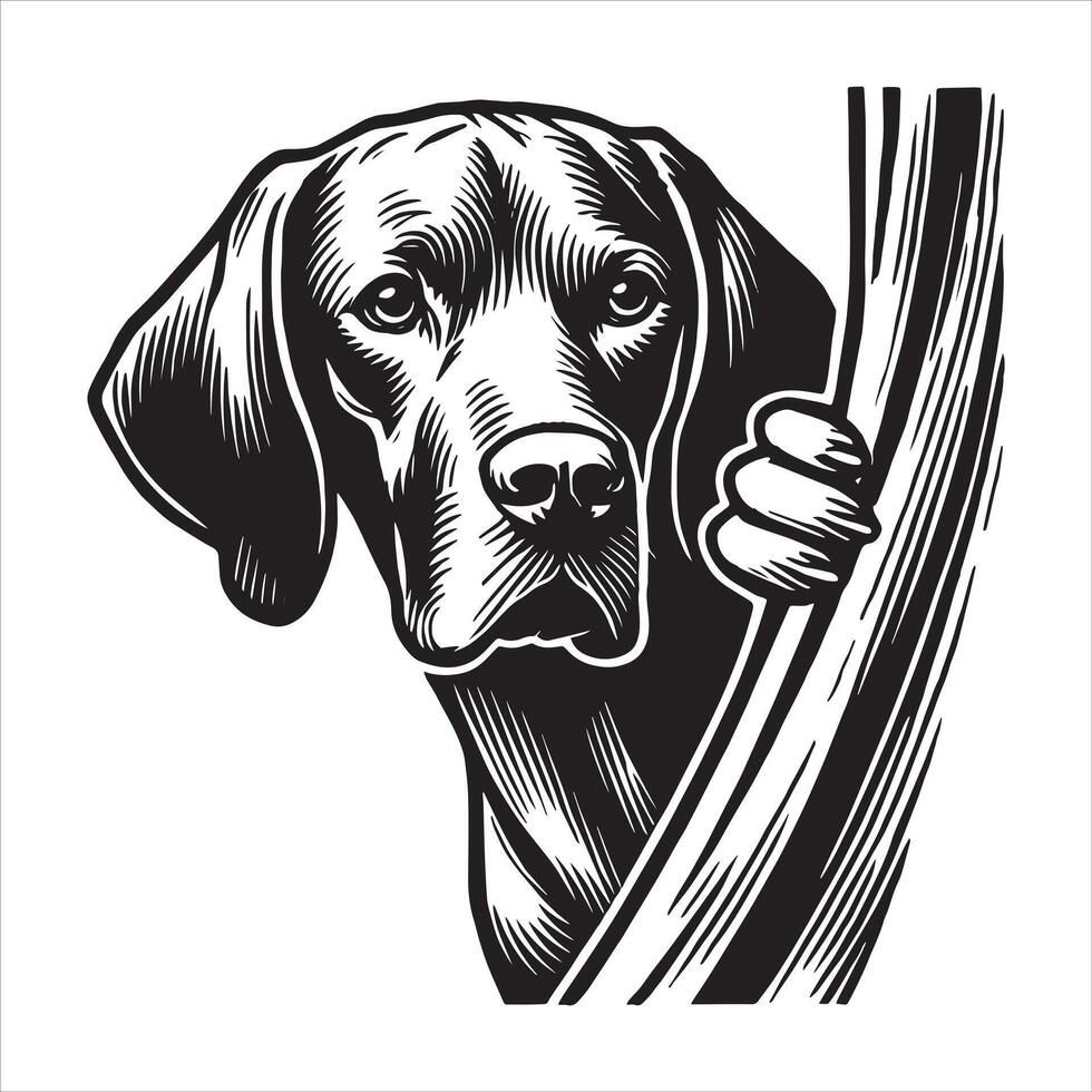 Vizsla Peeking dog Black and White vector