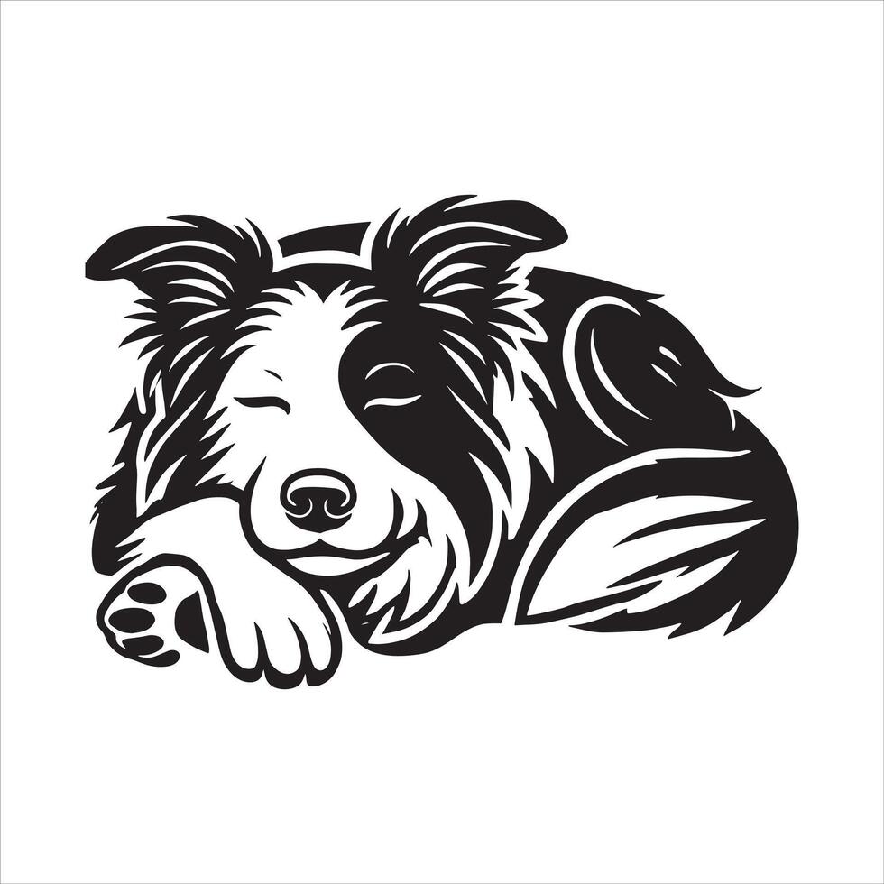 Border Collie A close-up of a resting black and white dog with a thoughtful expression vector