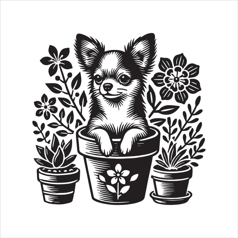 Cute Chihuahua Portrait Isolated on a White Background vector