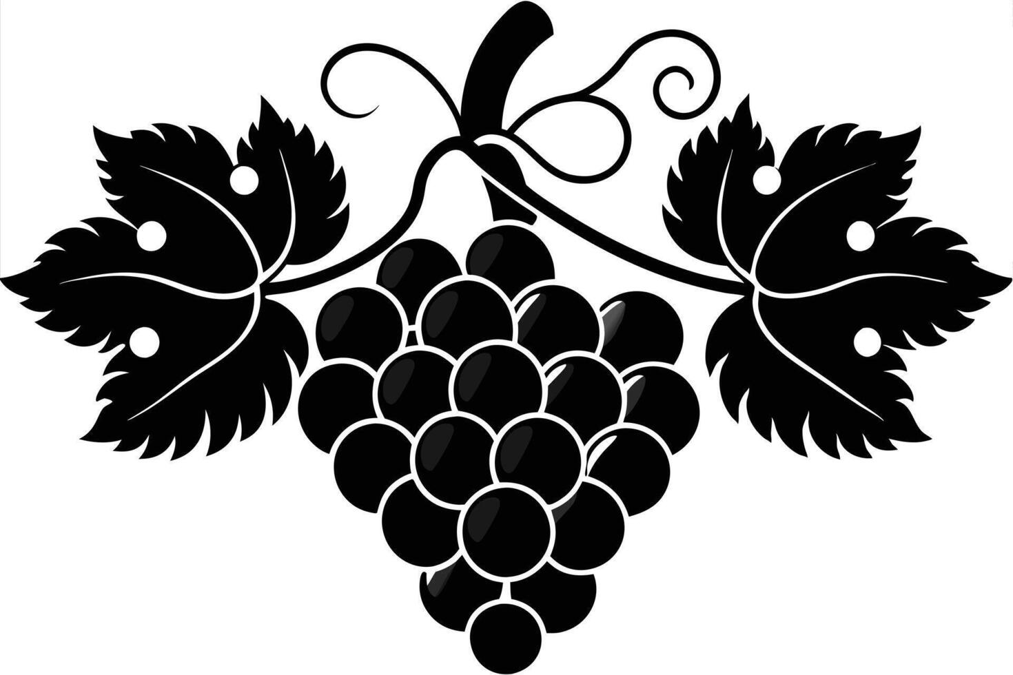 illustration of grape bunch with leaves vector