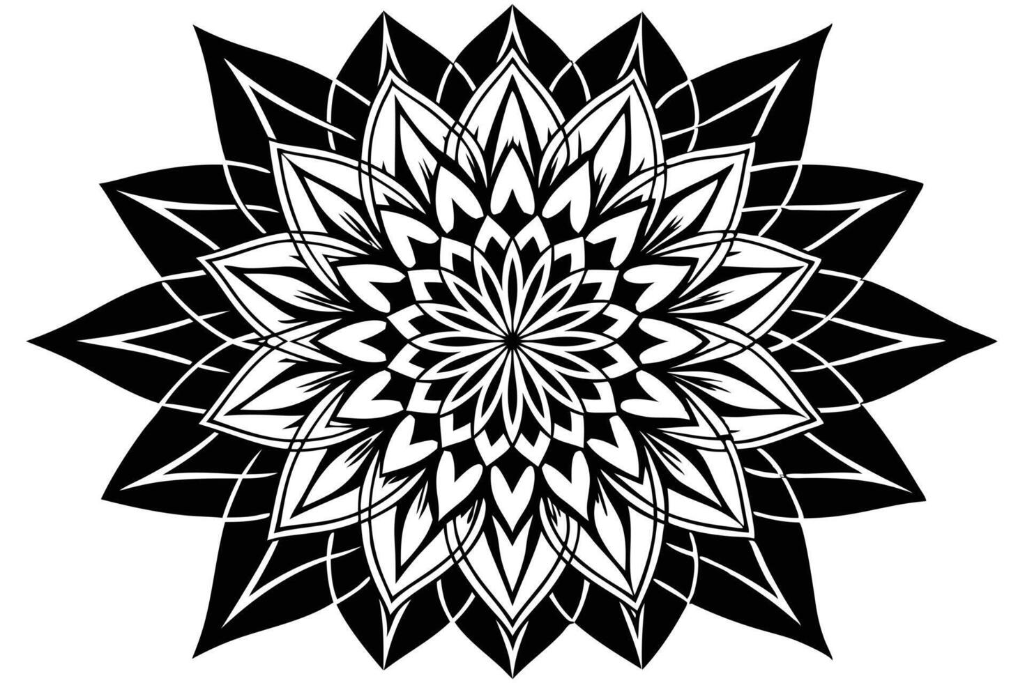 Floral round mandala design vector