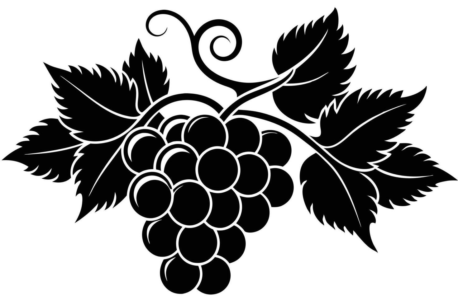 Grape branches with leaves on white background vector