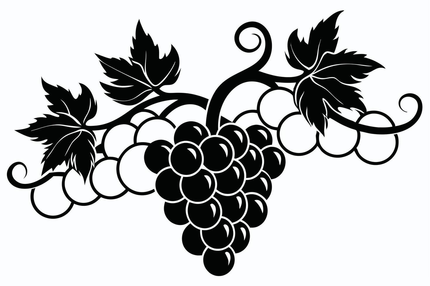 illustration of grape bunch vector
