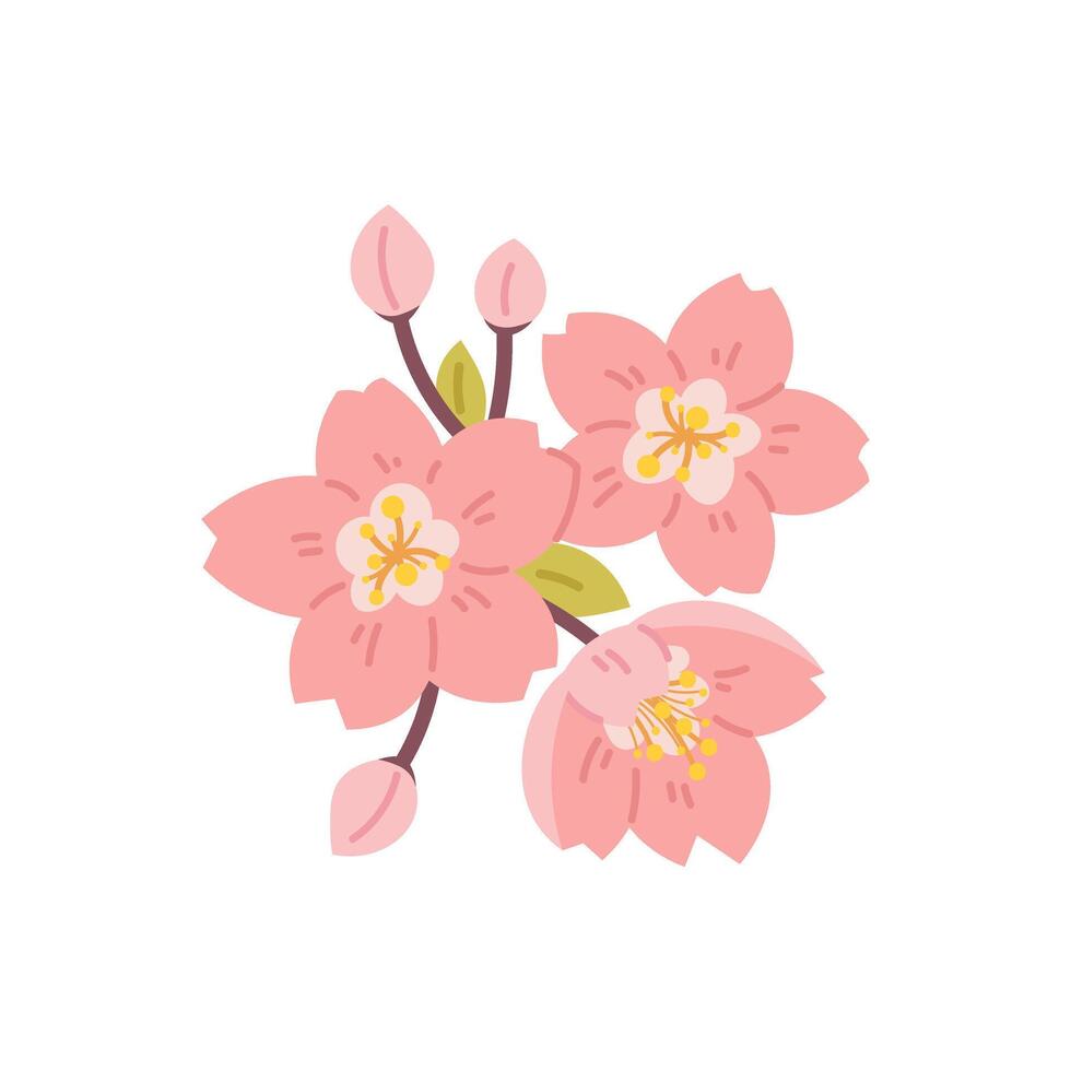 Flat Japanese sakura flowers on white background. botanical element for spring, Hanami vector