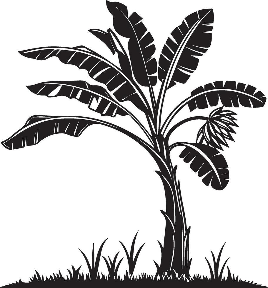 Silhouette image of a banana tree, fill black, silhouette vector
