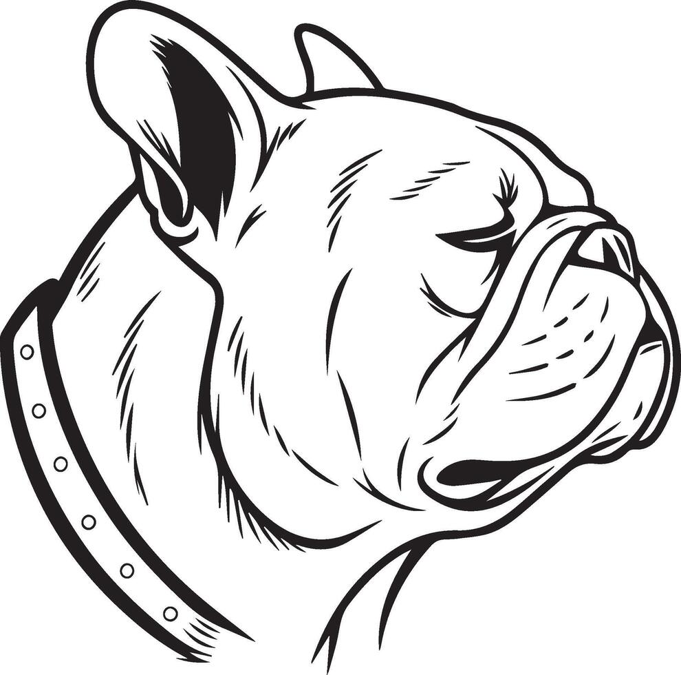 illustration of a bulldog's head vector