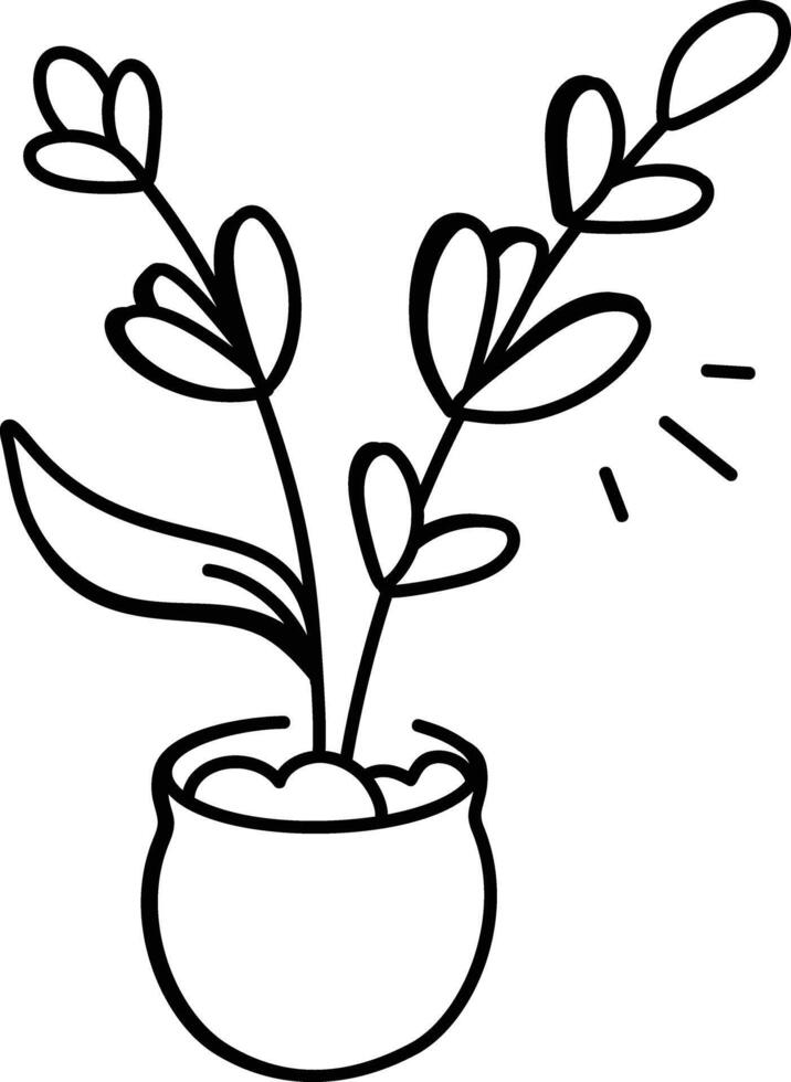 A hand drawn icon of liatris plant vector
