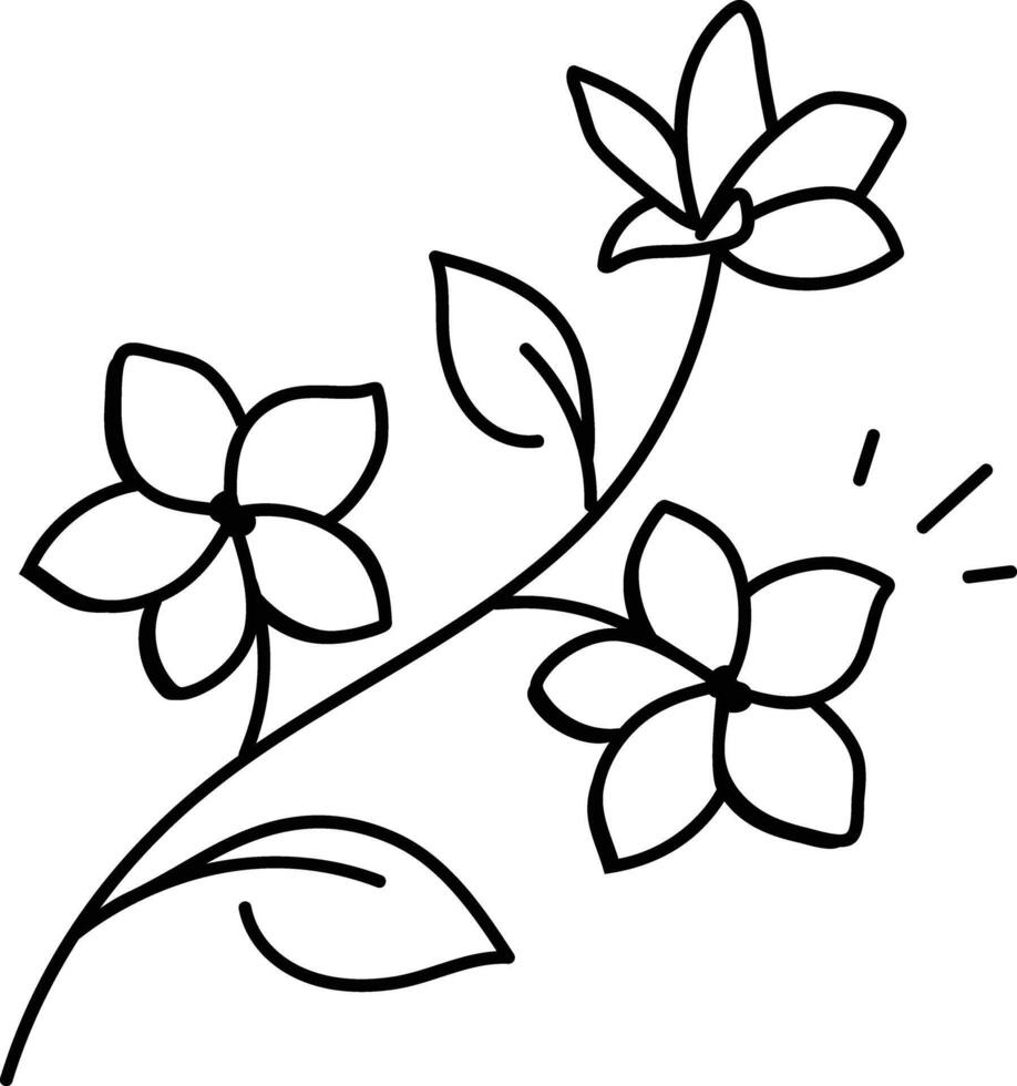 Plumeria flowers icon in drawing style vector