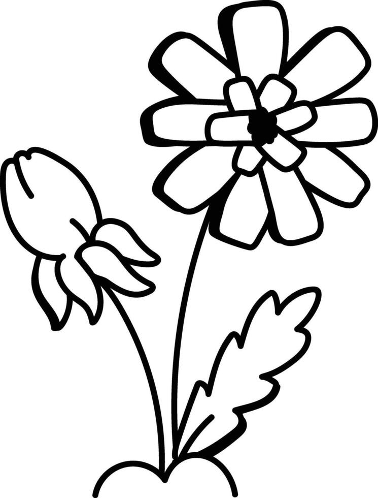 Dandelion flower icon in drawing style vector