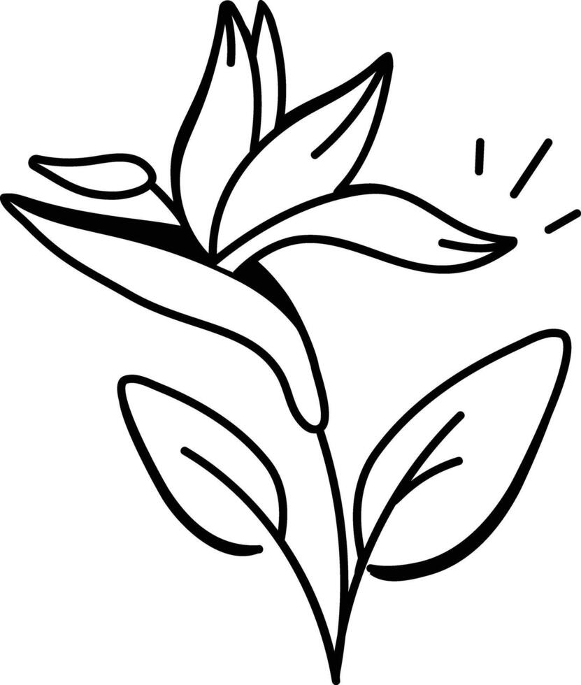 Hand drawn icon of paradise plant vector