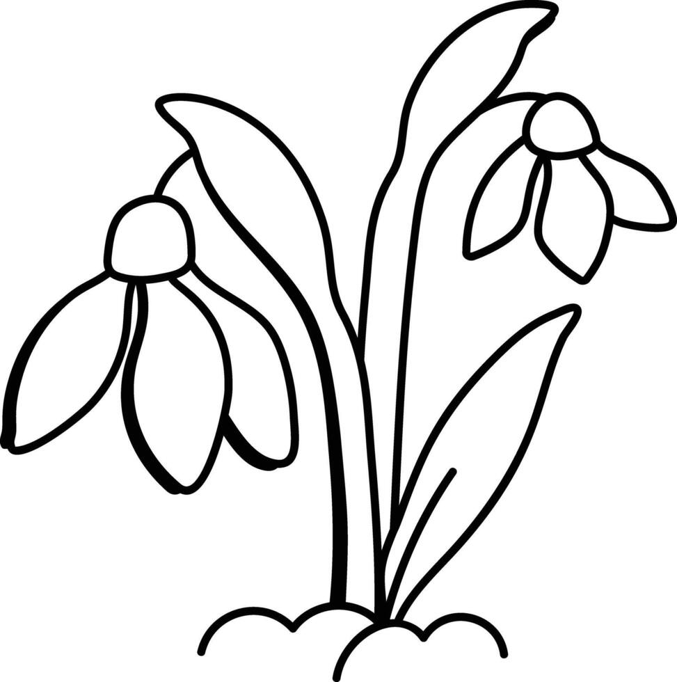 A sketchy icon of snowdrop plant vector
