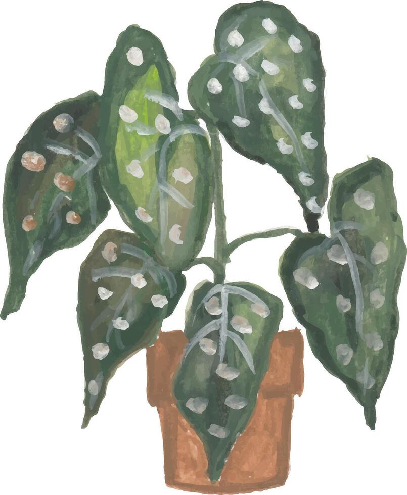 house plants hand drawn watercolor illustration vector
