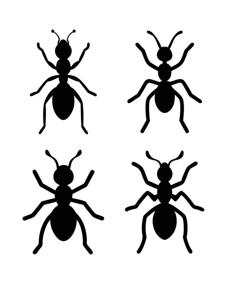 Minimalist Black Ladybug Silhouette on White Background vector
