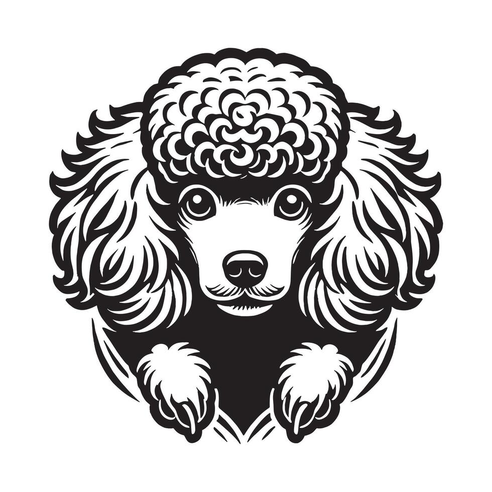Poodle Dog Peeking Design Silhouette vector