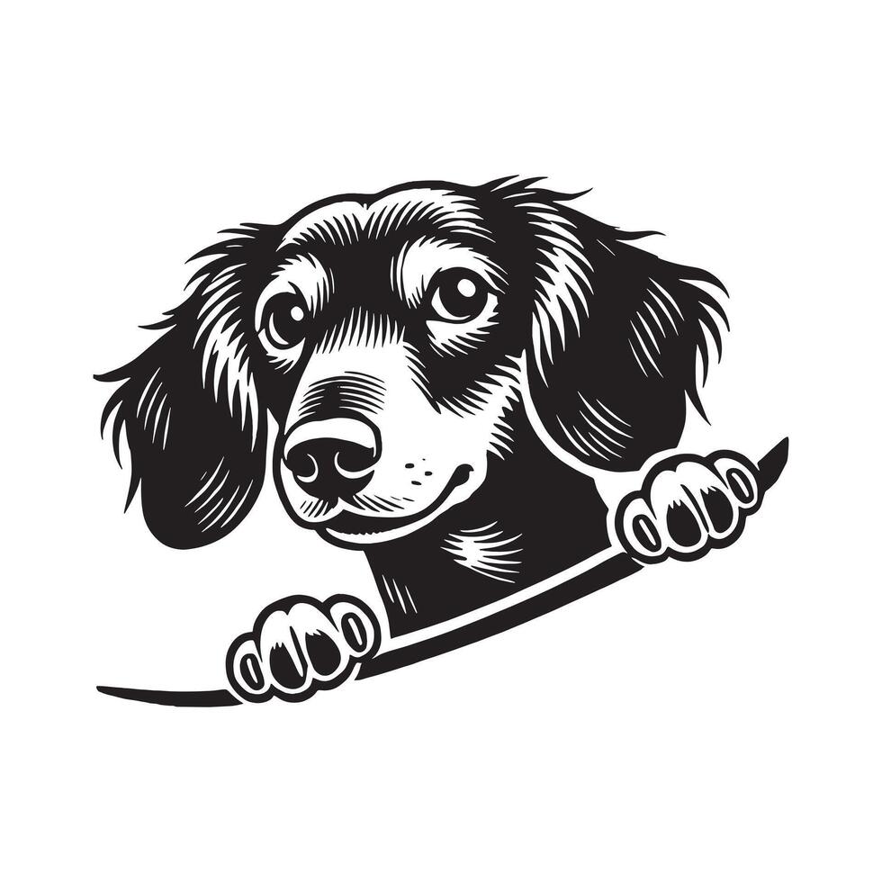 Cute Wiener Dog Dachshund Sausage Doggo in the desert vector