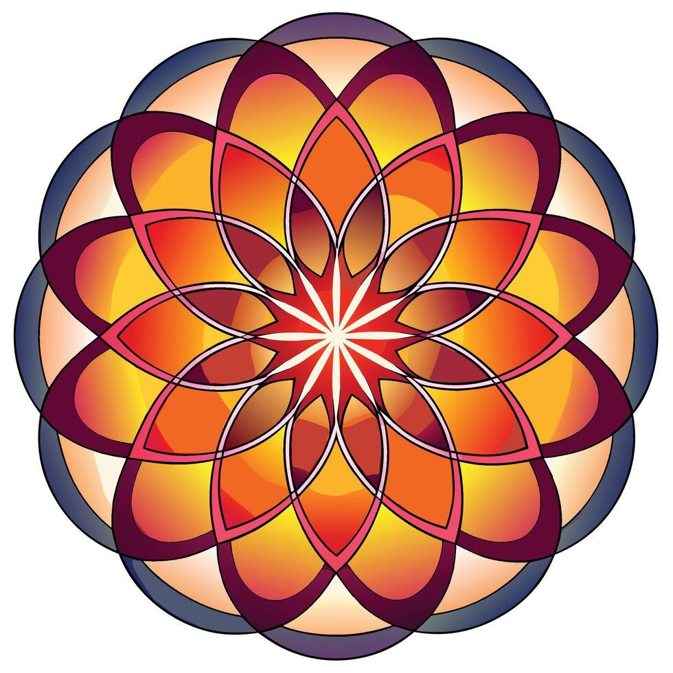 a colorful flower with a star in the center vector