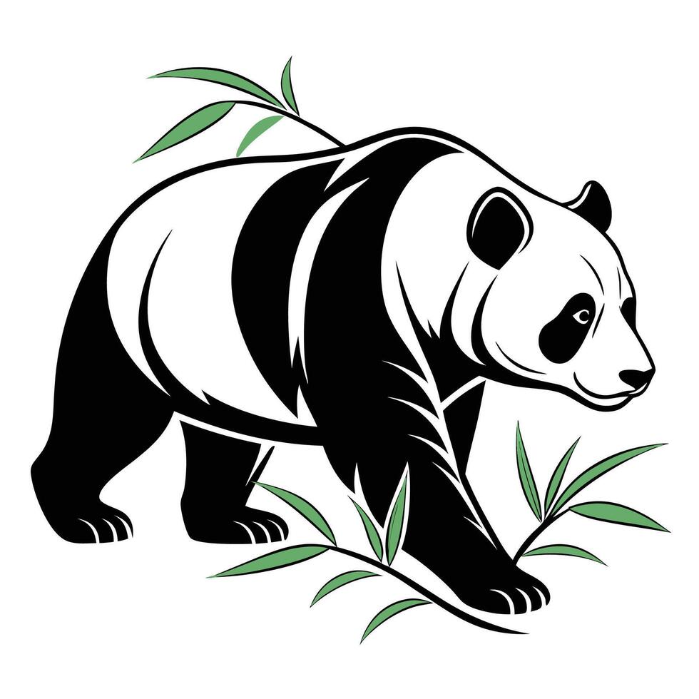 a panda bear with bamboo leaves on a white background vector