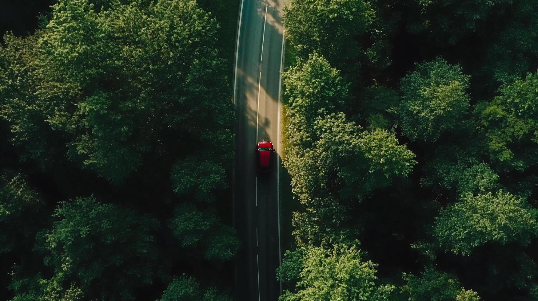 Wilderness Drive From Above photo
