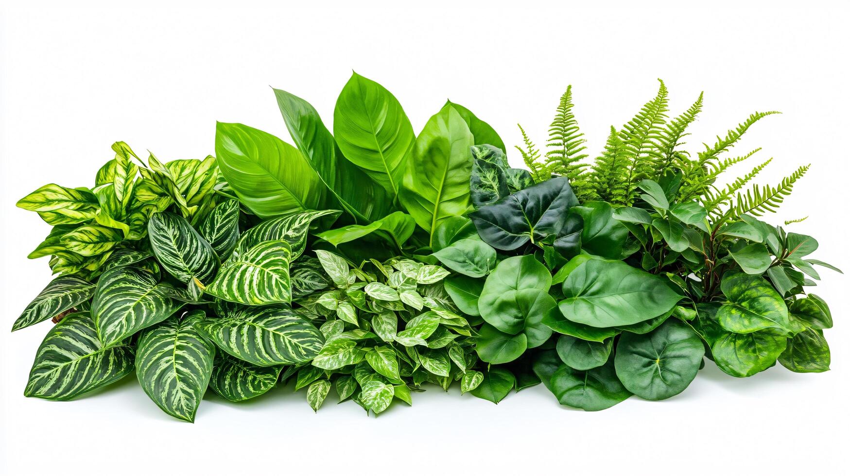 Vibrant Green Ensemble photo