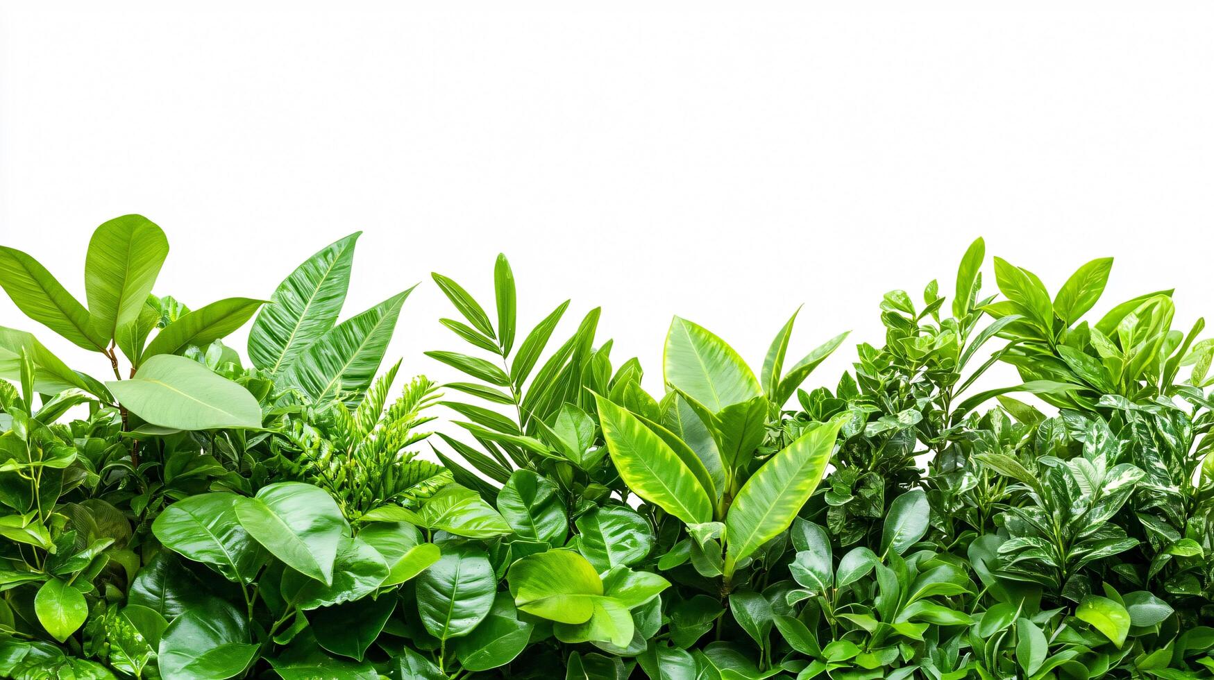 Vivid Botanical Design photo