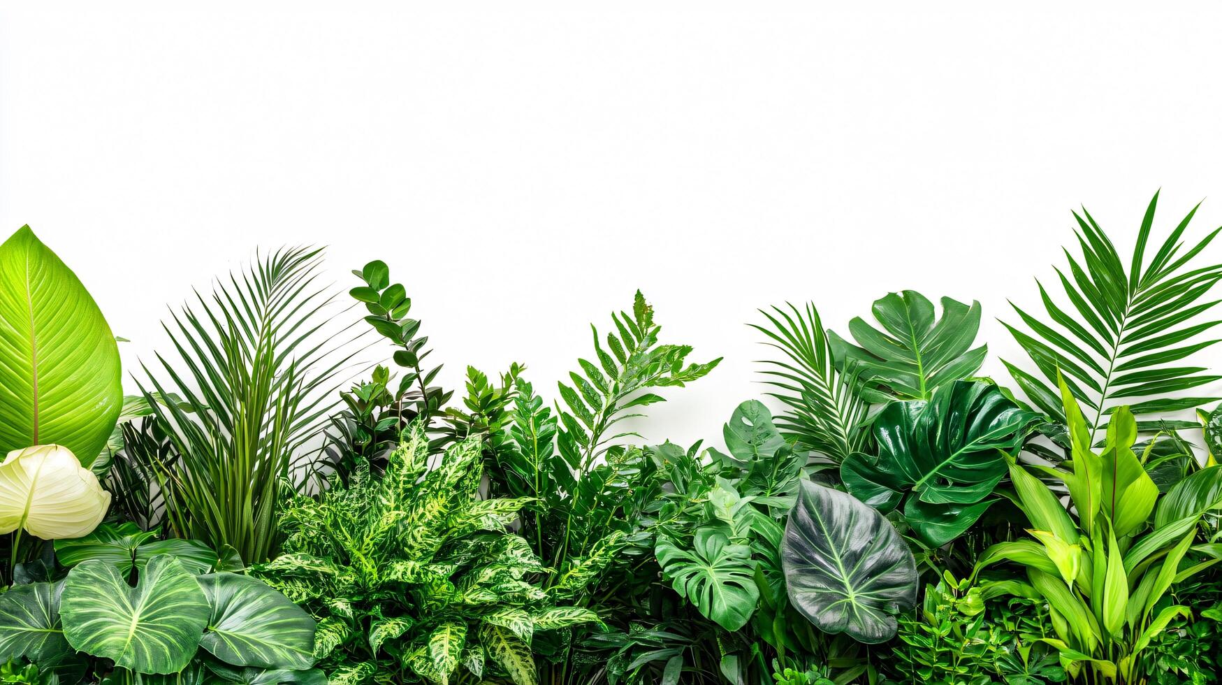 Tropical Green Balance photo