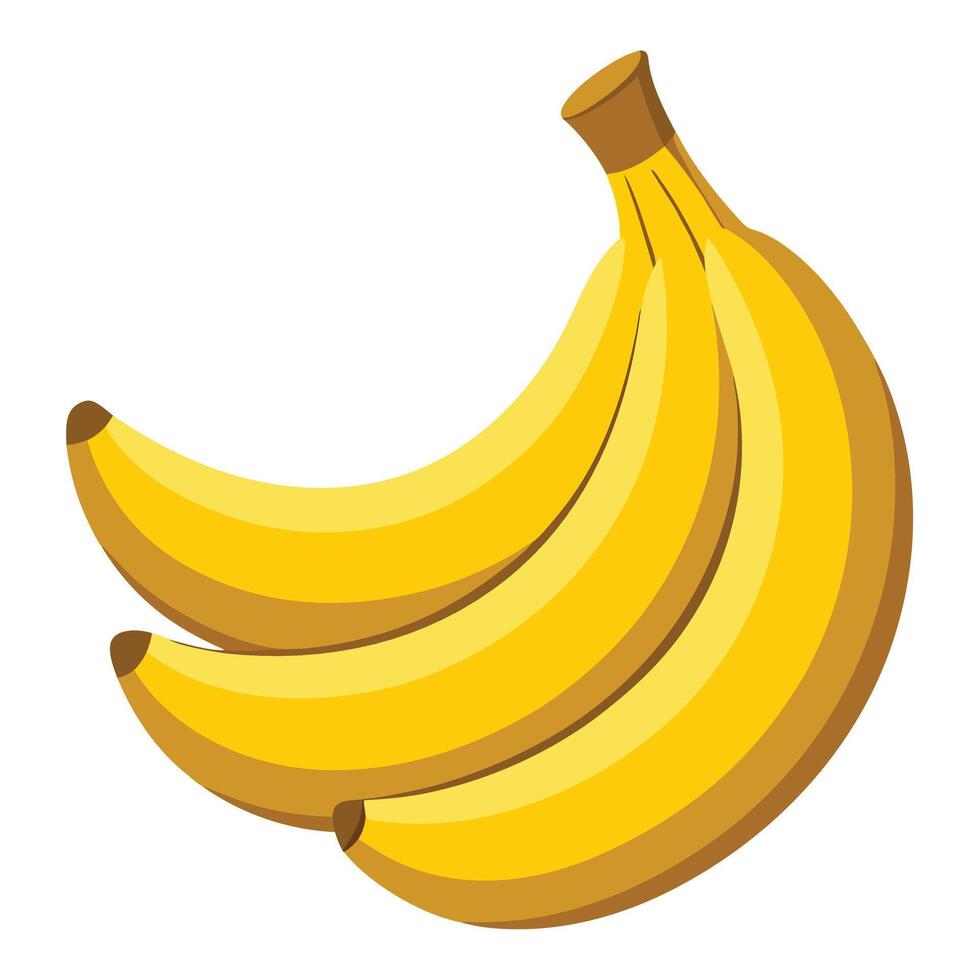 Drawing of Banana's vector