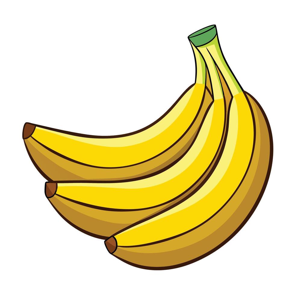 Banana's on white background vector