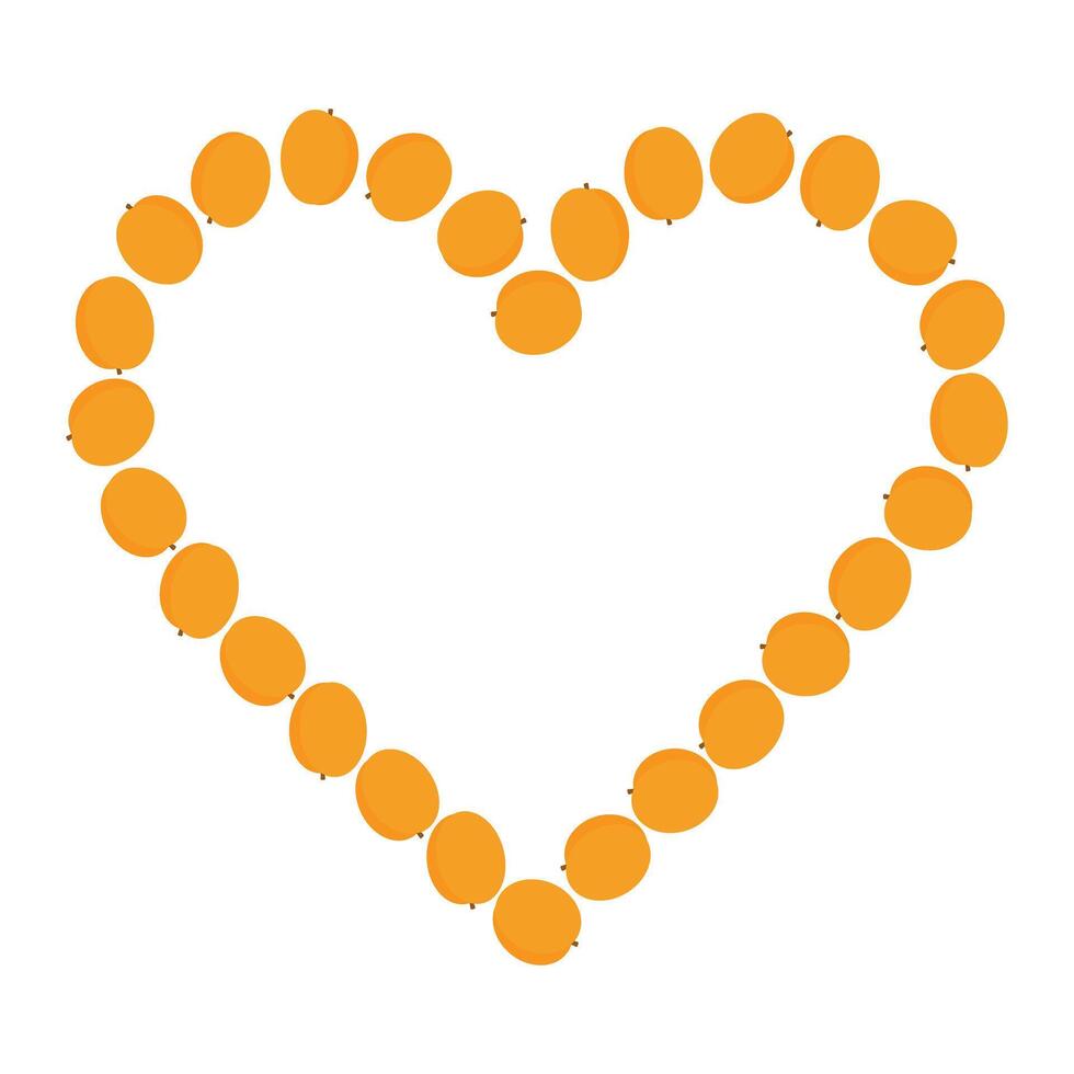 Apricots formed into a heart shape outline. Summertime Heart shaped frame border Copy space Template. Isolated illustration Thematic cards, Healthy Eating leaflets, posters or web promo banner vector