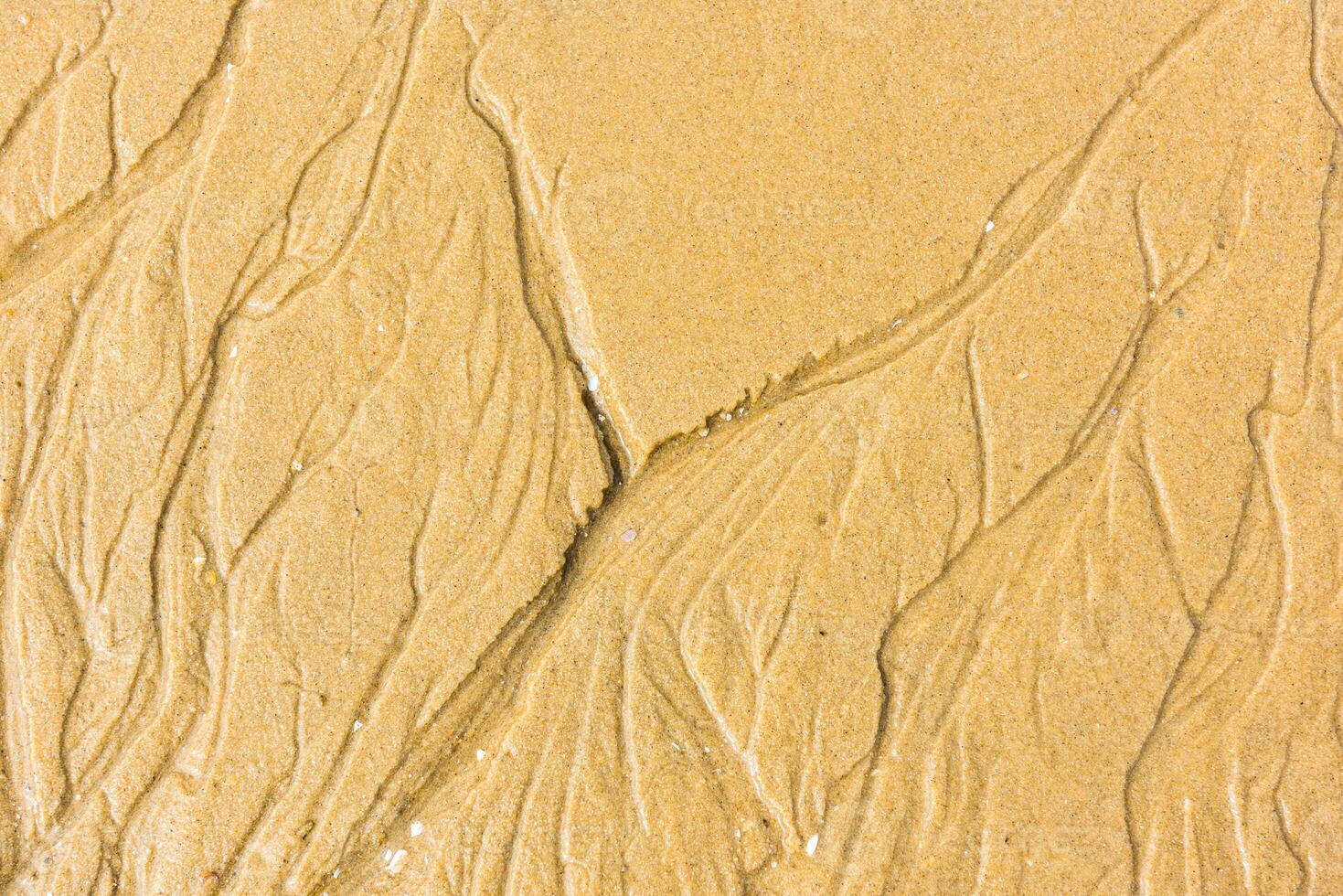Top view of a sand sea bottom photo