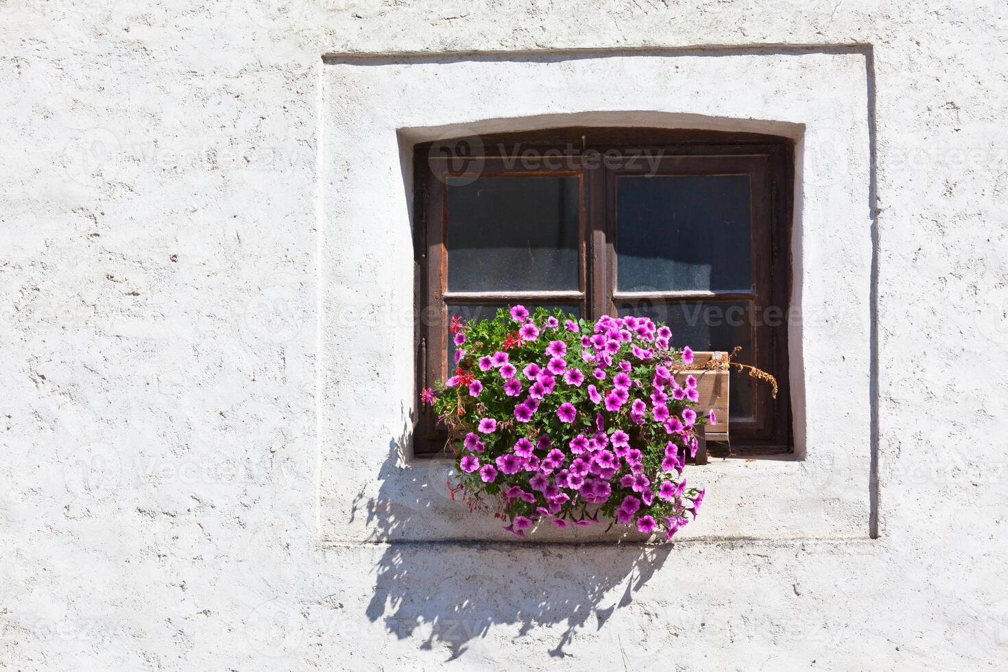 Window with colorful flowers on a white wall photo