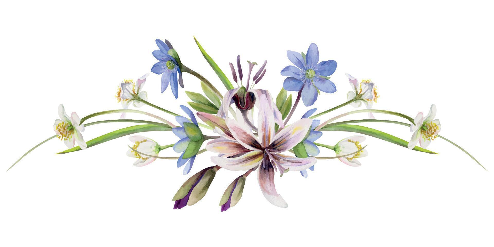 Spring forest flower, white anemone primrose, fawn trout lily, blue hepatica forget-me-not, erythronium isolated botanical illustration hand drawn in watercolor. Florist shop, wedding stationery, gift vector