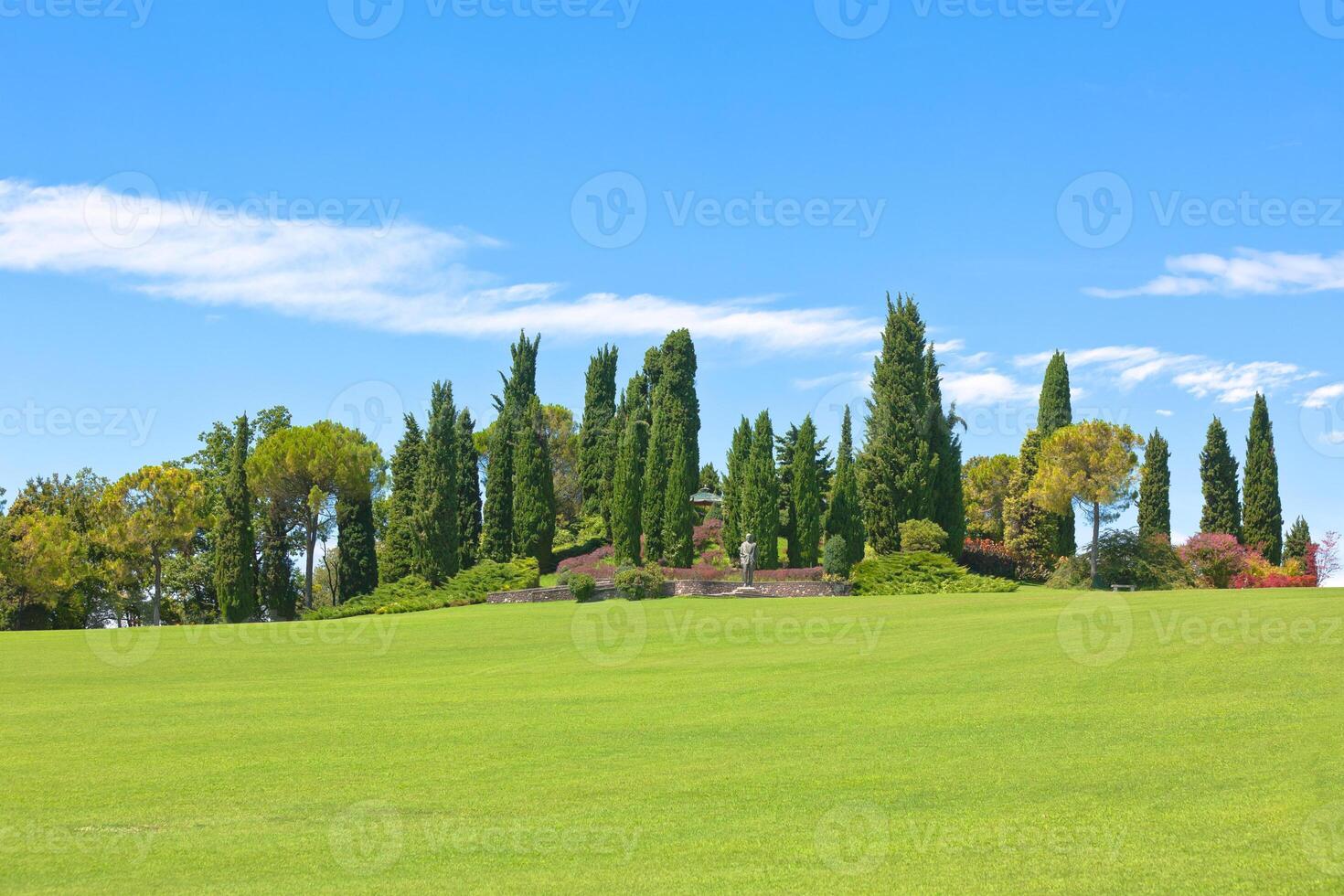 Summer park background photo