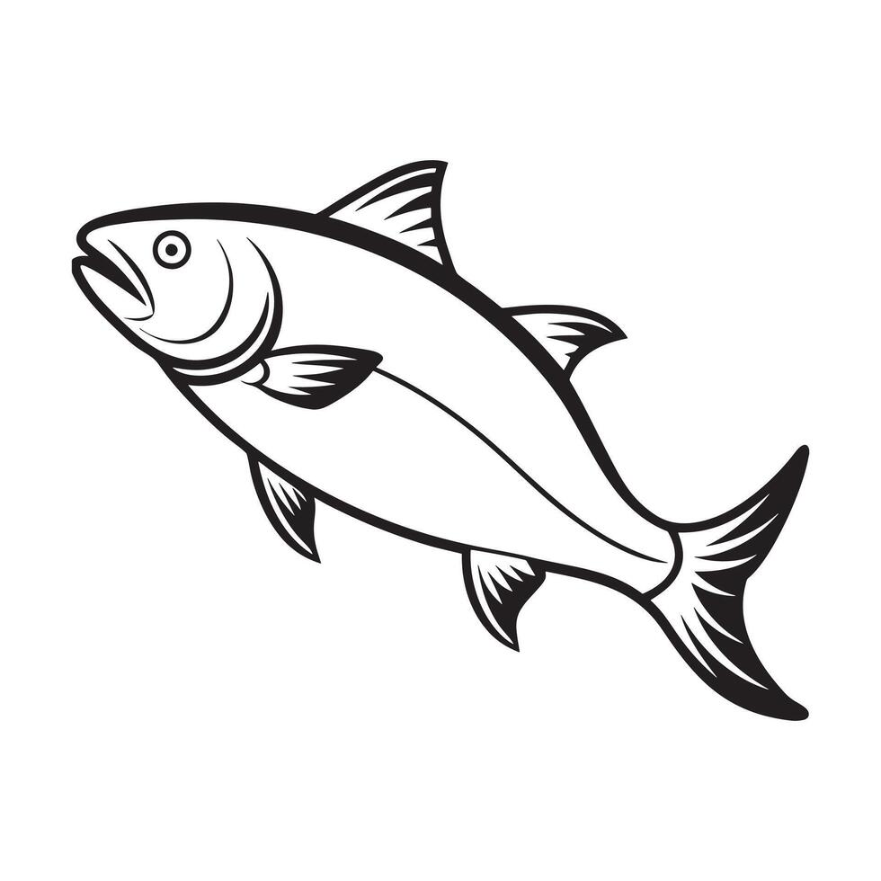 Salmon fish drawing vector