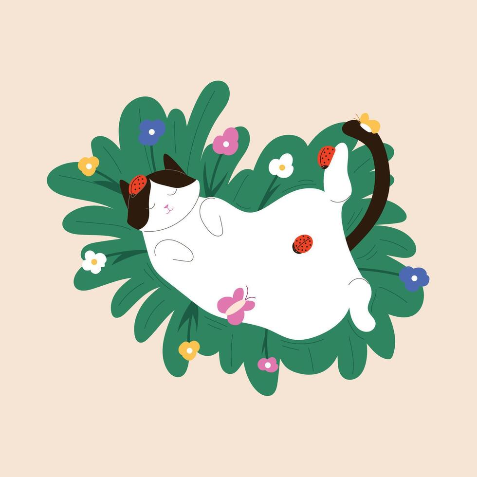 Tuxedo cat relaxing on grass surrounded by colorful flowers, ladybugs and butterfly in flat style. Perfect for spring, summer, nature and children design. vector