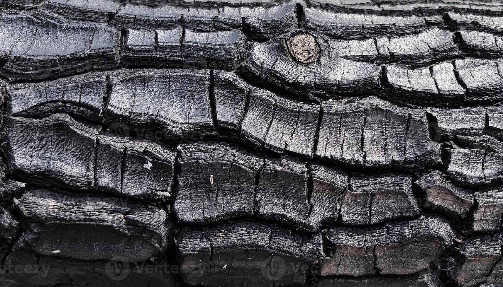 macro view of charred tree bark with deep cracks and blackened textures from fire damage photo