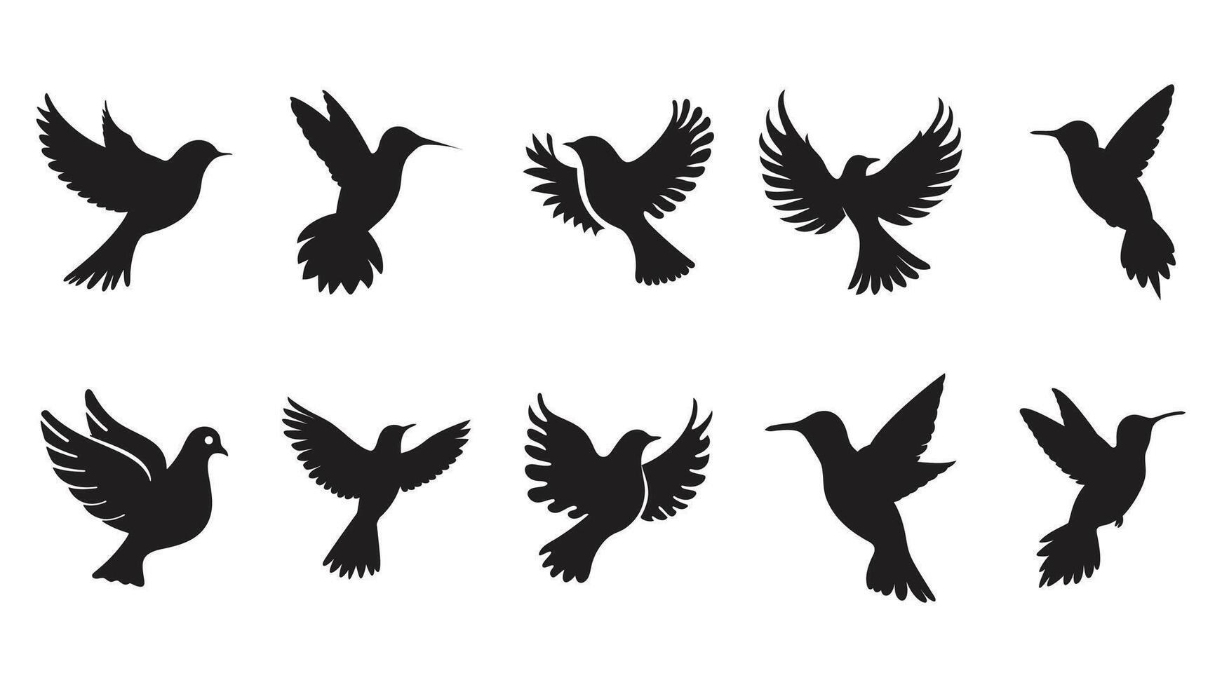 Stylish Group of Birds Silhouettes bird on white background vector