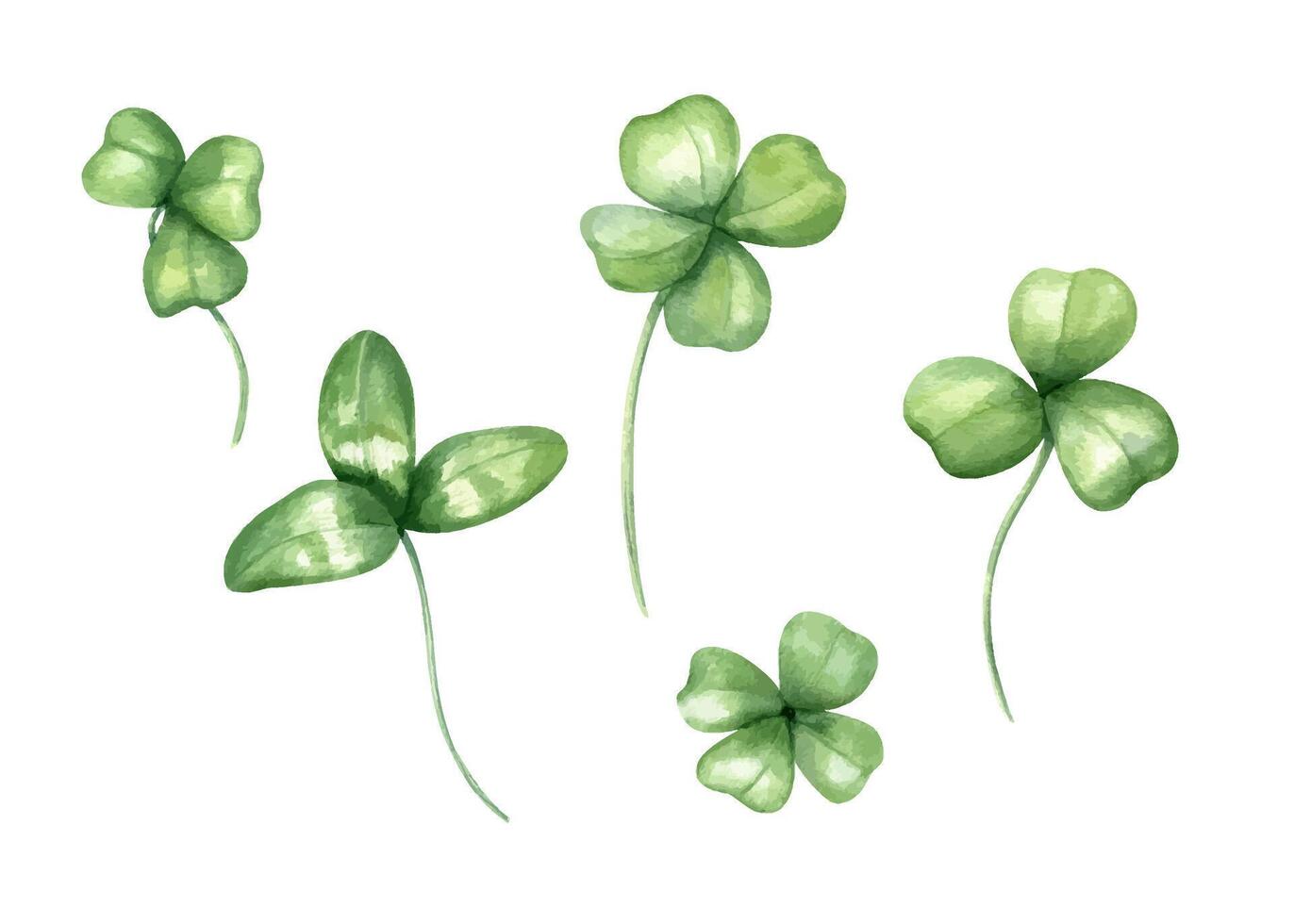 Four leaf and three leaf clover watercolor illustration set. Hand drawn green shamrock leaves. St. Patrick day holiday, lucky symbol. Floral elements for greeting card, poster. Top view vector