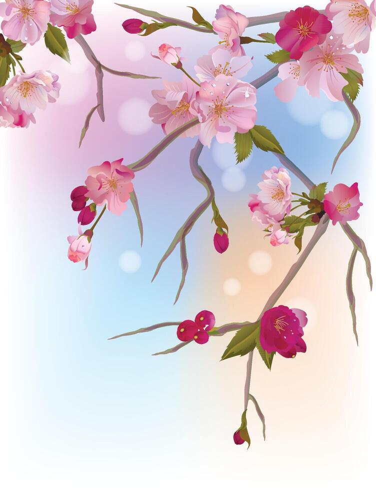 Spring background with gentle sakura branches of flowers vector