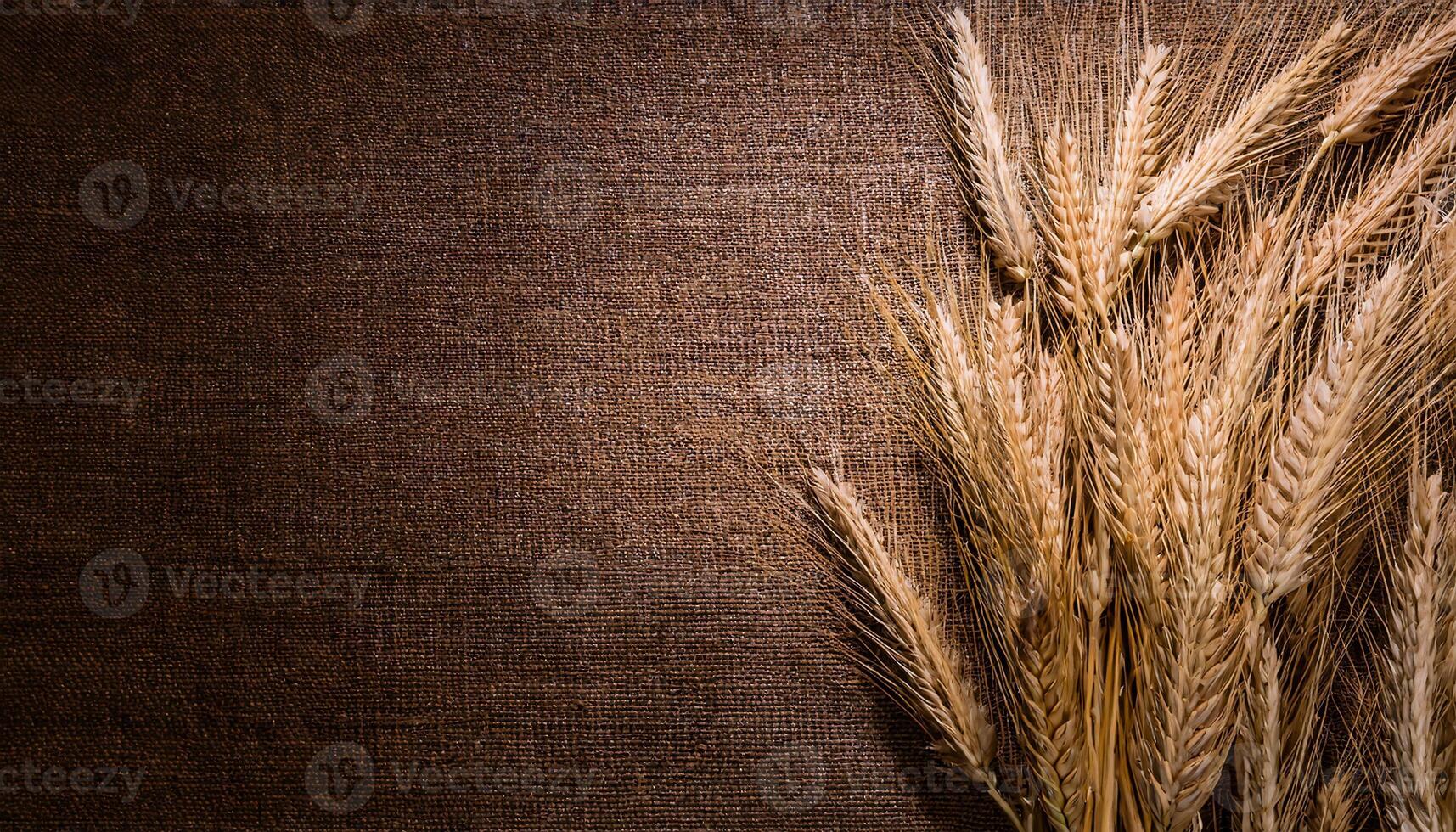 high-resolution photo of golden wheat pods neatly arranged on a textured brown fabric background, perfect for natural and agricultural themes