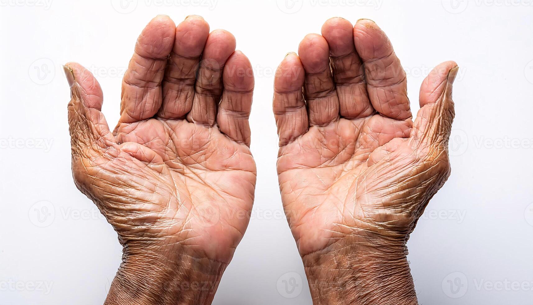 close-up of aged hands with deep wrinkles, prominent veins, and thin skin showing age-related changes on isolated white background photo