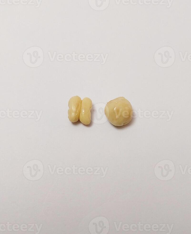 miniature cute clay isolated decorate food fried flour breakfast photo