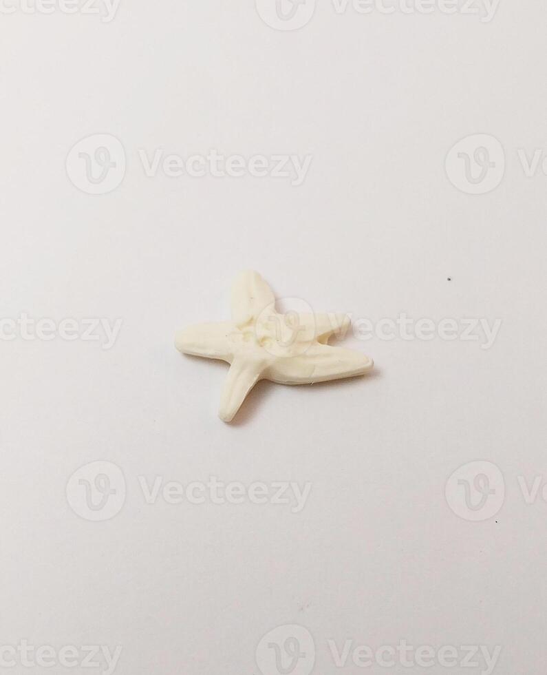 starfish miniature cute handmade clay isolated sculpture fish animal white photo
