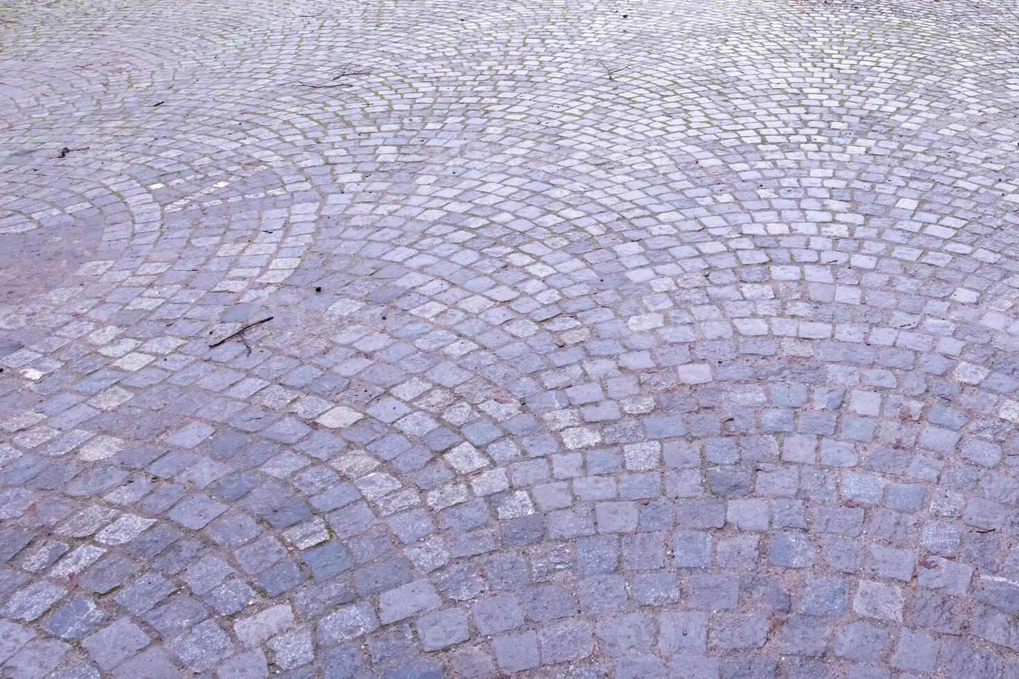 Cobblestone pavement forming concentric arcs in urban setting photo