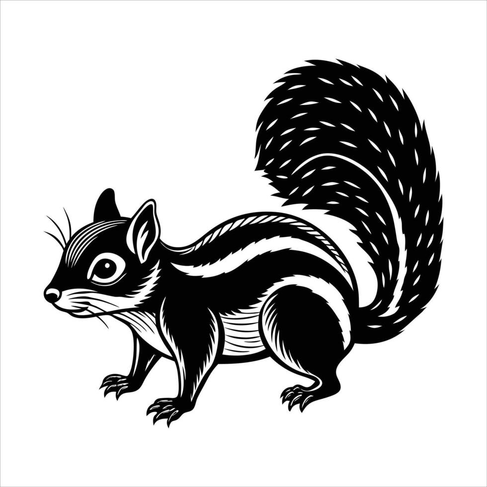 Category Callosciurus erythraeus vector