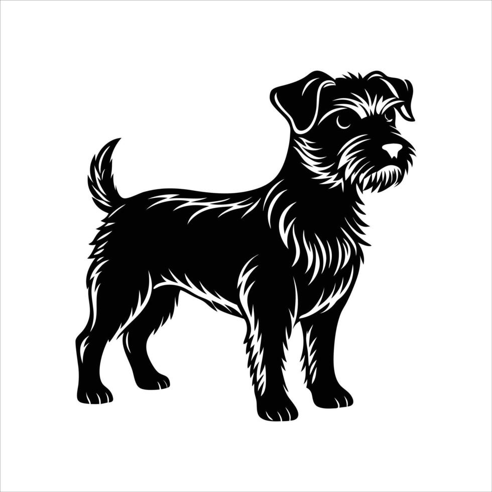 Border Terriers Dog vector