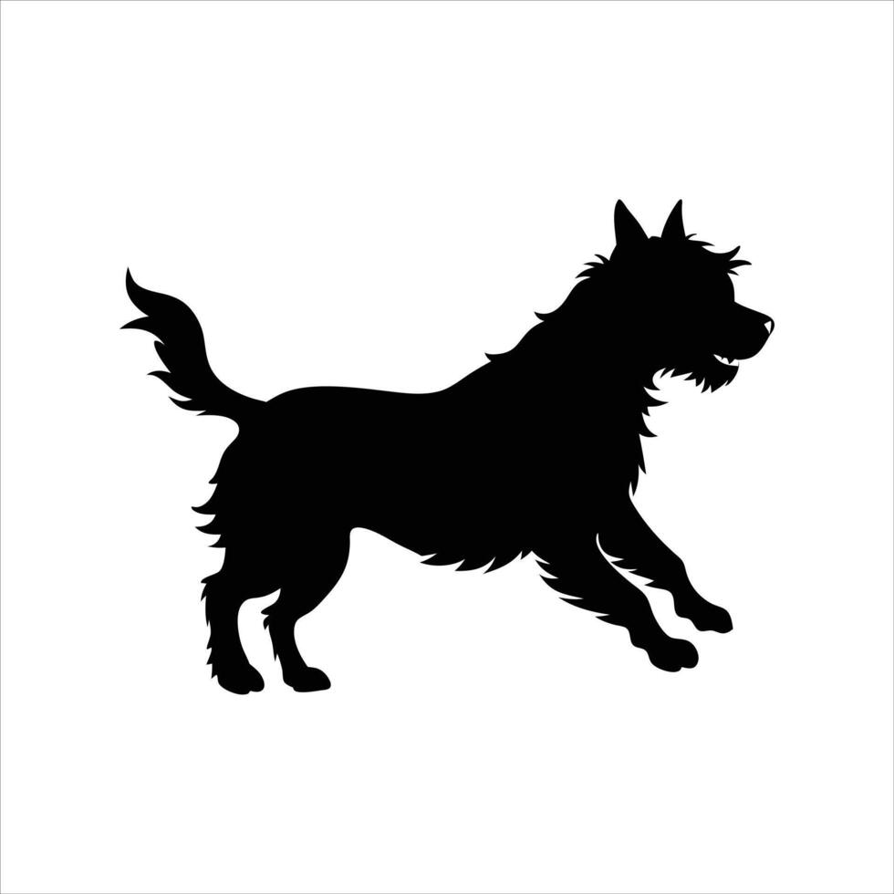 Border Terrier dog running vector