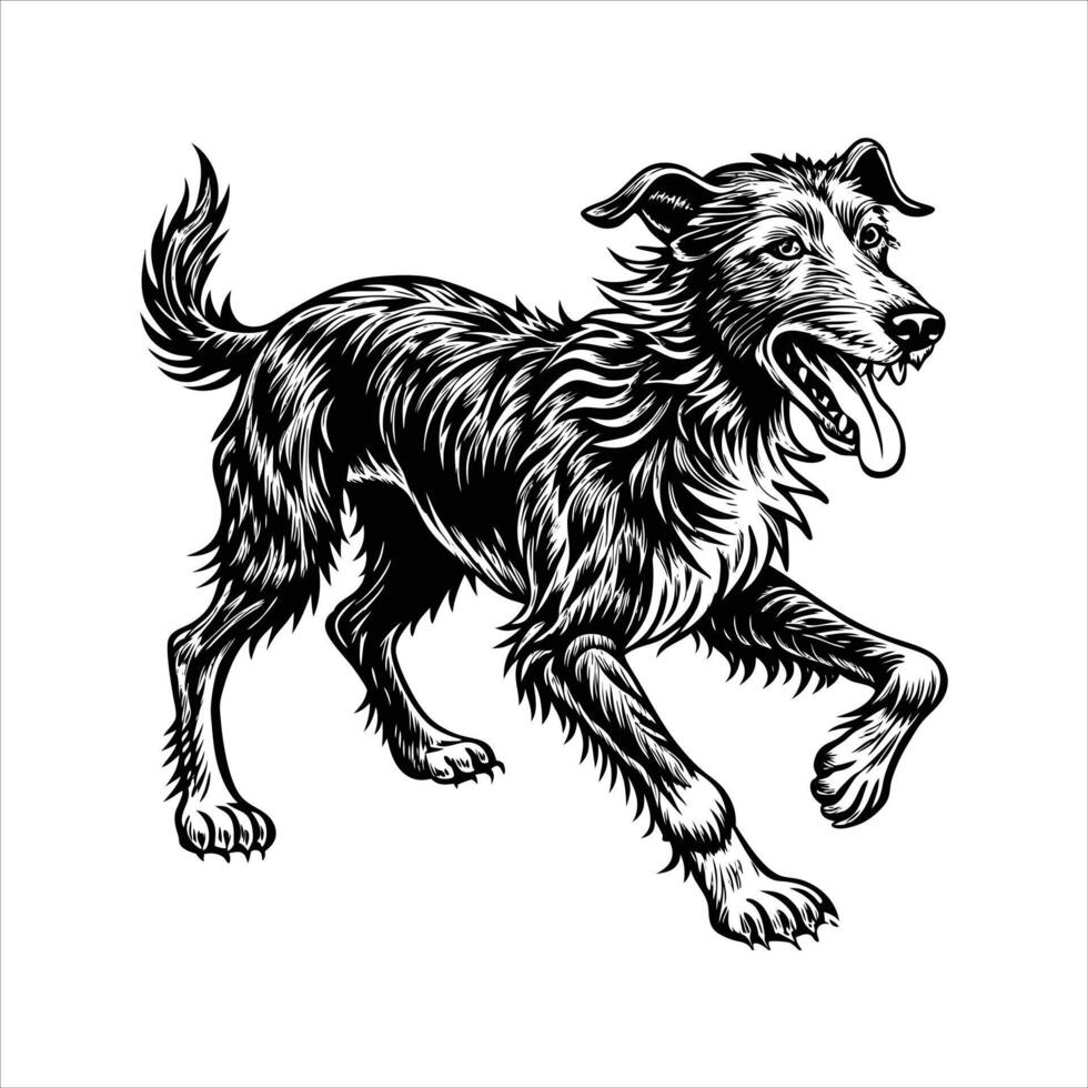 Irish Wolfhound Dog . vector