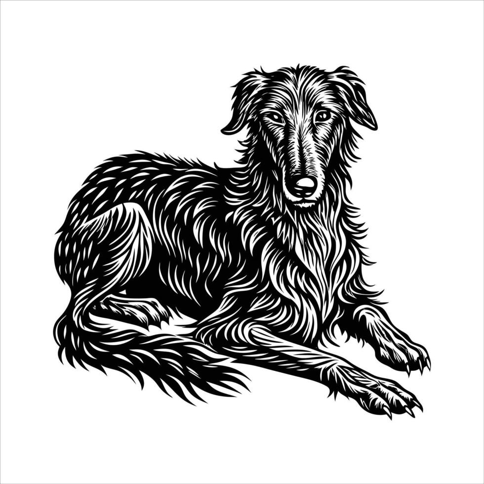 Irish Wolfhound Dog lying down . vector