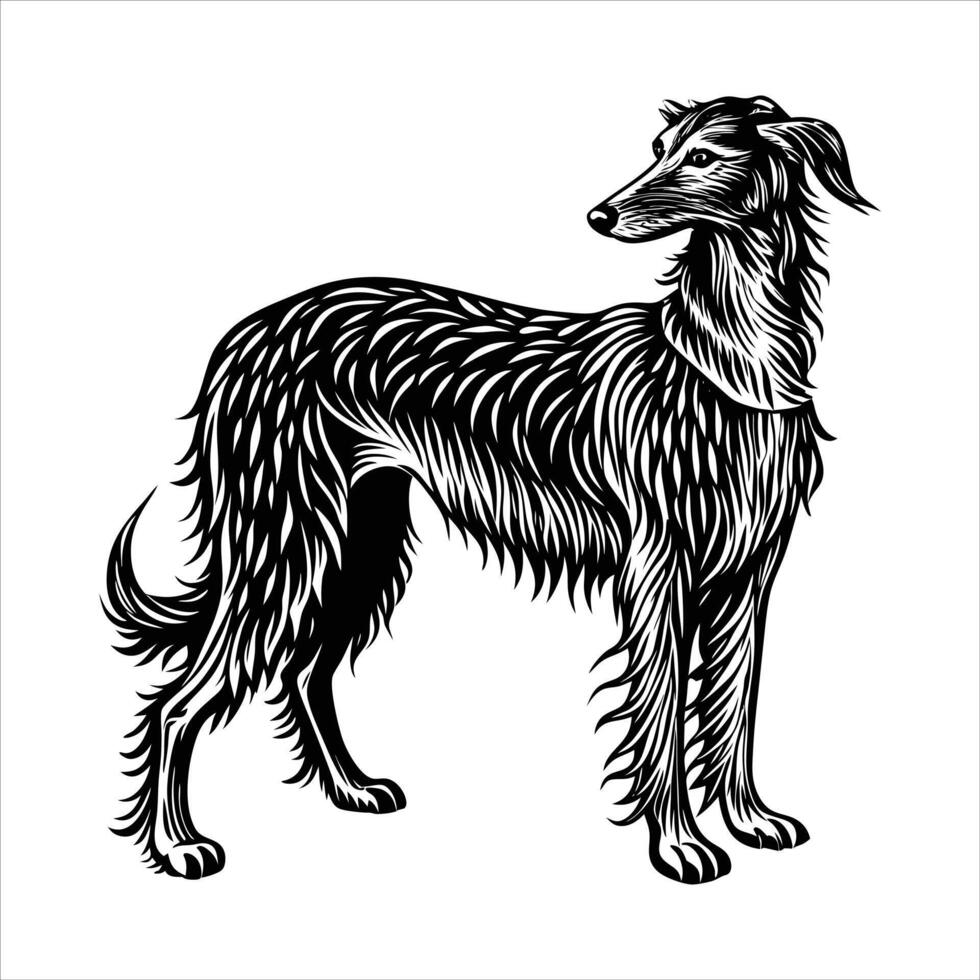 Irish Wolfhound Dog Breed vector