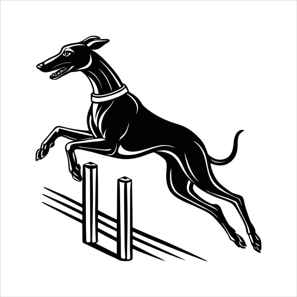 Sighthound dog jumping . vector